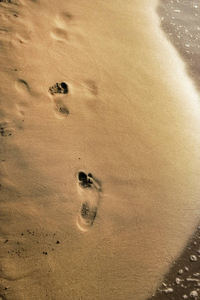 istock footprints on golden color sandy beach 1159189489