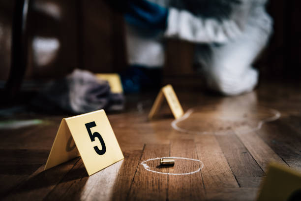Crime Scene Detective Examining Evidence Forensic Investigator Collecting Crime Scene Evidence evidence photos stock pictures, royalty-free photos & images