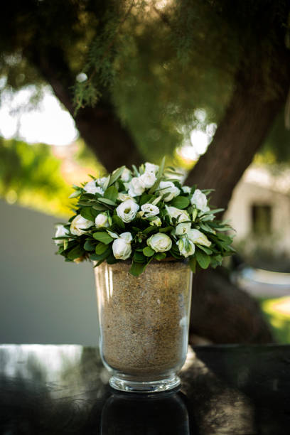 Cute little pot plant on outdoor table.