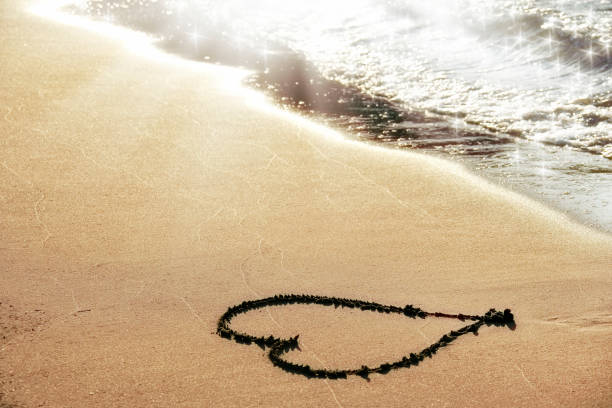A heart on the beach.