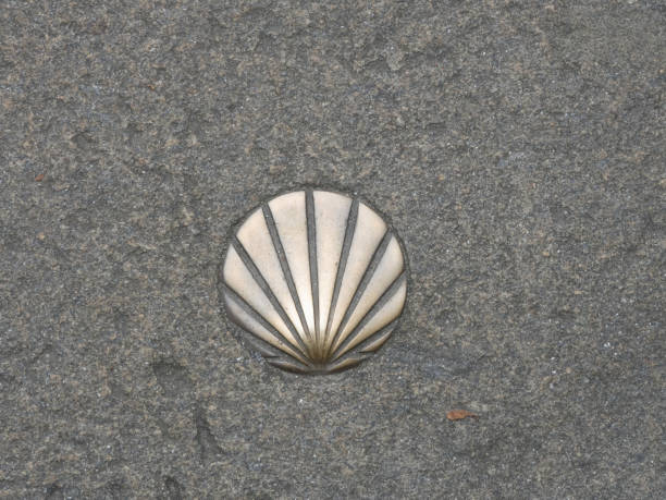 istock St. James shell symbol of the way 1159190873
