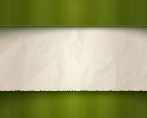 White and torn old paper Vector vintage green background with torn old paper. White and torn old paper vector template. at the edge of burnt frame grunge stock illustrations