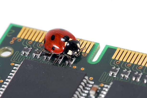 cordial tecnología 02 - computer bug computer chip technology insect fotografías e imágenes de stock