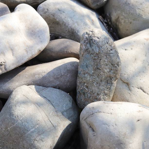 istock Texture of light smooth large sea stones 1159193380