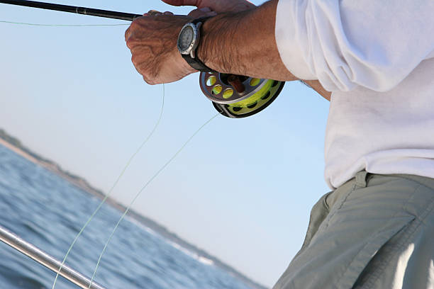 istock Fly Fishing Reeling 115919375