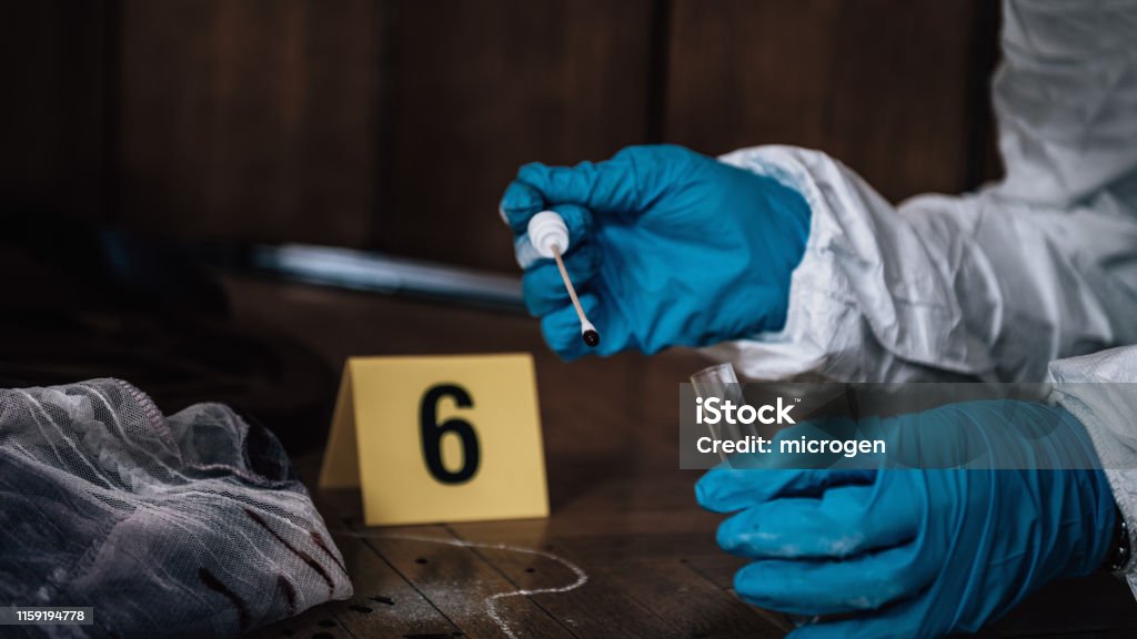 Forensics. Collecting Clues from the Crime Scene Forensic Investigator collecting blood evidence from a crime scene Forensic Science Stock Photo