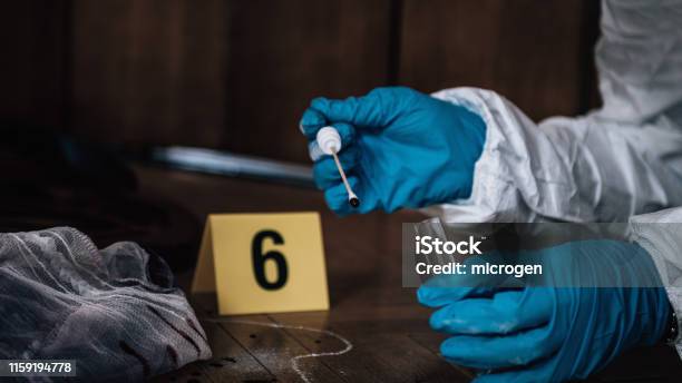 Forensics Collecting Clues From The Crime Scene Stock Photo - Download Image Now - Forensic Science, Blood, Collection