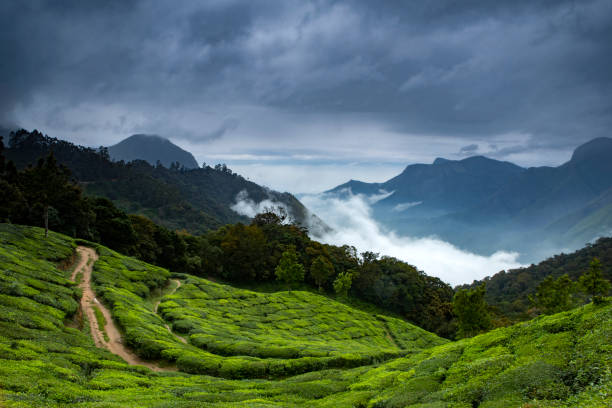 istock Munnar Top-Staion ,Kerala 1159196048