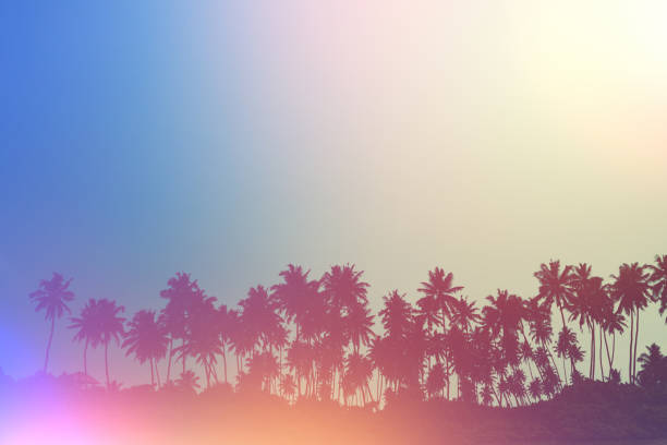 Palm trees on tropical beach, vintage toned and retro film light flare stylized