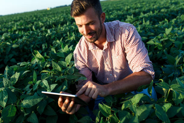 istock Young farmer standing in filed with tablet examining soybean corp. 1159201677