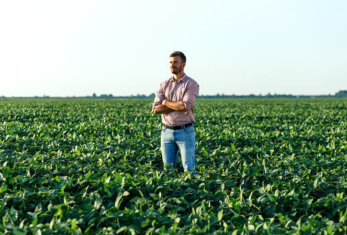 Portrait of young farmer standing in filed examining soybean corp.