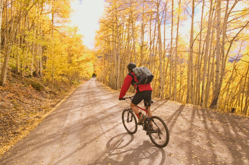 Mountain Biker with Backpack in Gold Autumn Aspens