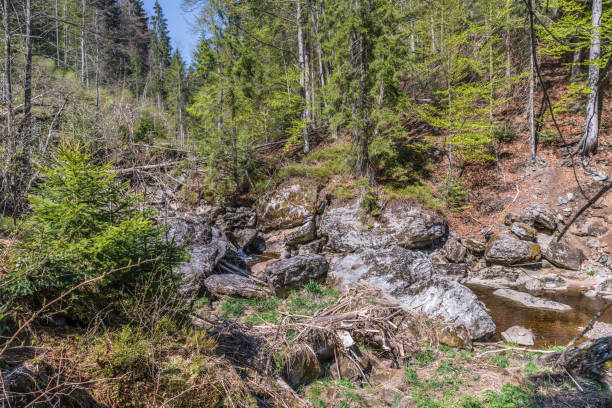 istock Steinklamm in Spiegelau in the Bavarian Forest, Germany 1159205291
