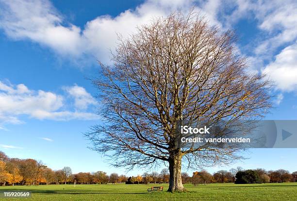 Foto de Banco De Parqueoutono e mais fotos de stock de Ausência - Ausência, Banco - Assento, Banco de Parque