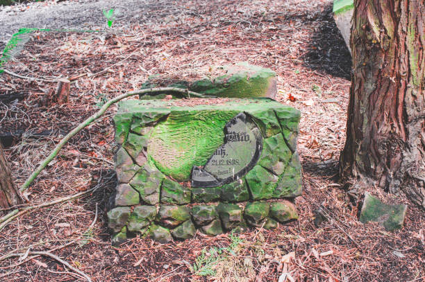 istock Kaputter gravestone with damage in a cemetery in green 1159206772
