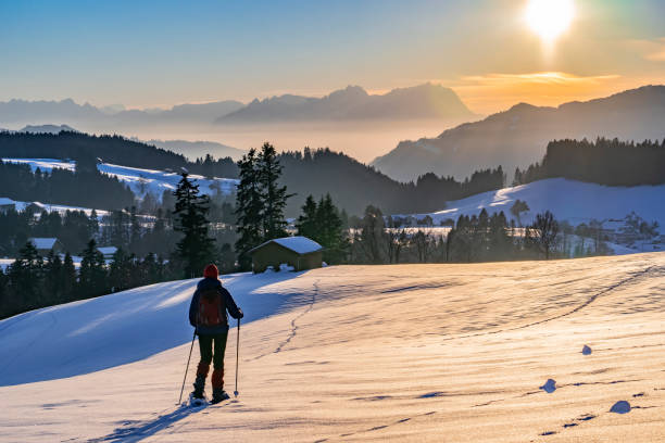 snow shoeing o zachodzie słońca - snowshoeing snowshoe women shoe zdjęcia i obrazy z banku zdjęć