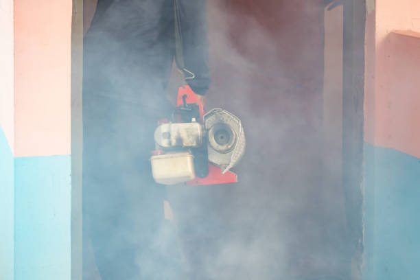 istock Mosquito sprayer engine for kill mosquito to dead in home 1159207030