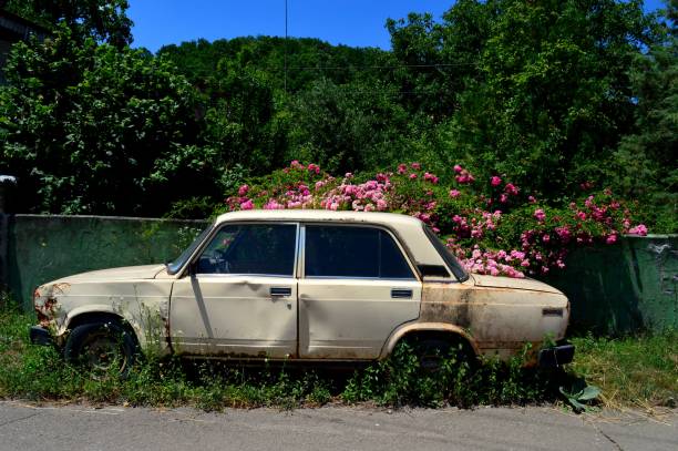 istock rotten old car covered with flowers roses 1159208538