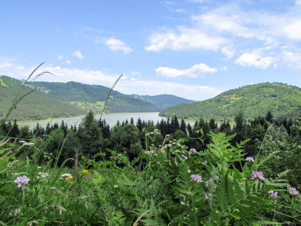 istock Mountain landscape, awesome lake, sunny sky with a few clouds 1159208776