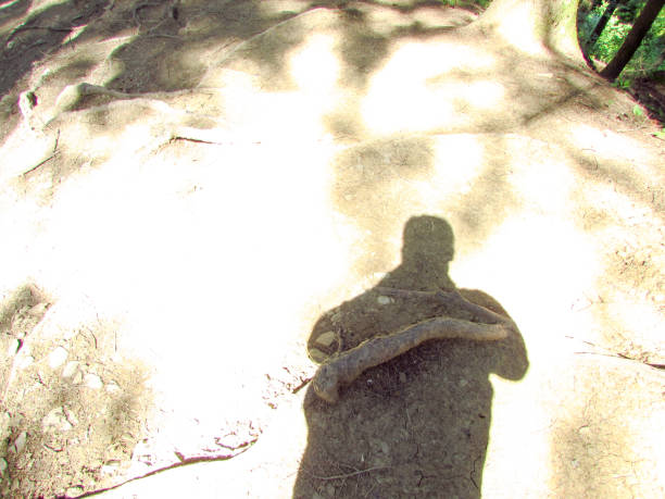 istock Human shadow in forest, summer time, photographer, lights and shadows, trees, pines 1159208874