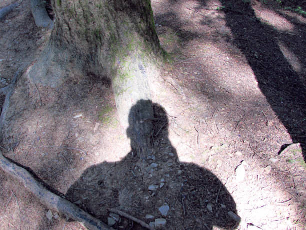 istock Human shadow in forest, summer time, photographer, lights and shadows, trees, pines 1159209670