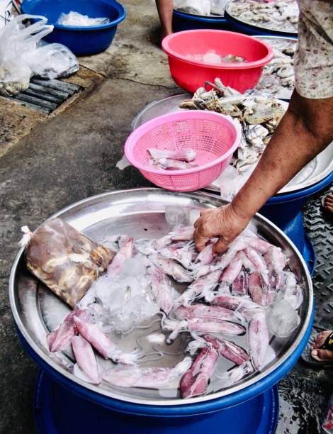 istock Hand Picking Squids From A Tray at The Market 1159210351