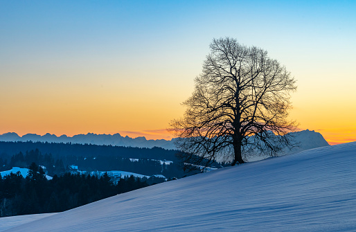 A photo of winter landscape in Danmak