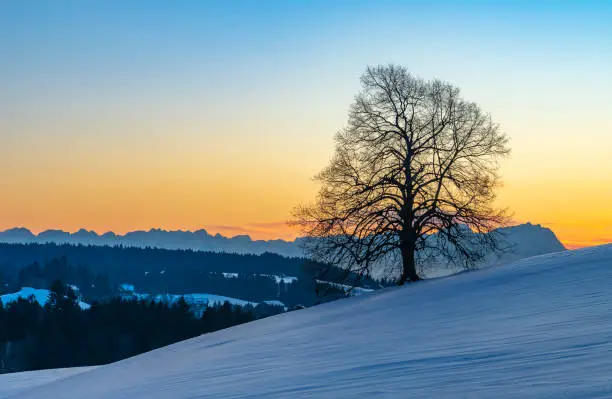 sunset in the snow covered Bregenzer Wald area of Vorarlberg, Austria with spectacular view on Mount Saentis, Switzerland