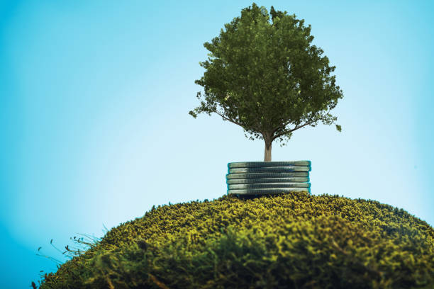 istock Money tree on a beautiful blue background. 1159213665