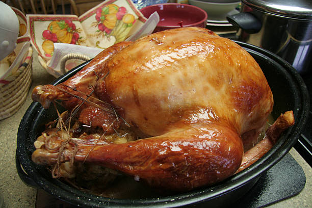 Turkey in Roaster 2nd version stock photo
