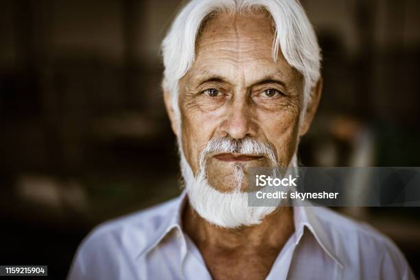 Portrait Of Senior Man With White Hair And Beard Stock Photo - Download  Image Now - Portrait, Senior Adult, 70-79 Years - iStock