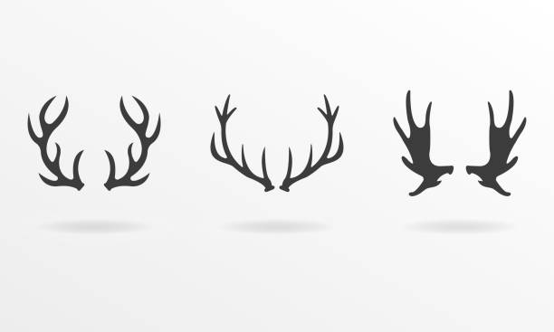 набор значков antlers. векторная иллюстрация оленьих рогов. - 2627 stock illustrations