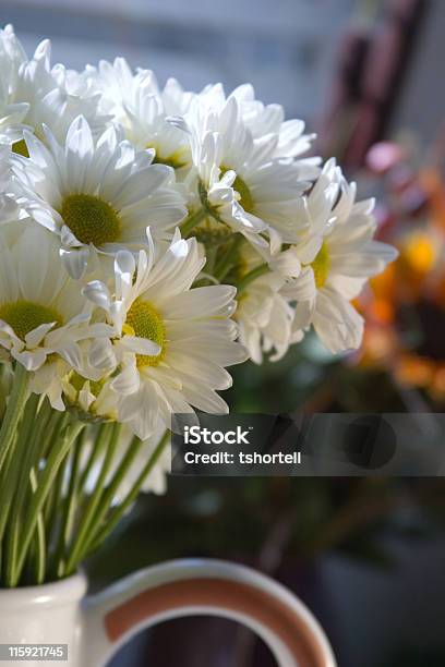 Blanco Daisies En Un Cerámico Lanzador Foto de stock y más banco de imágenes de Arreglo floral - Arreglo floral, Blanco - Color, Cerámica