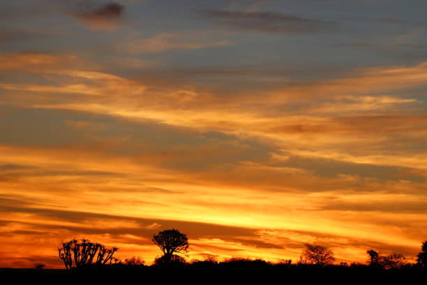 istock beautiful sunset - Namibia Africa 1159218335