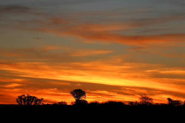 istock beautiful sunset - Namibia Africa 1159218342