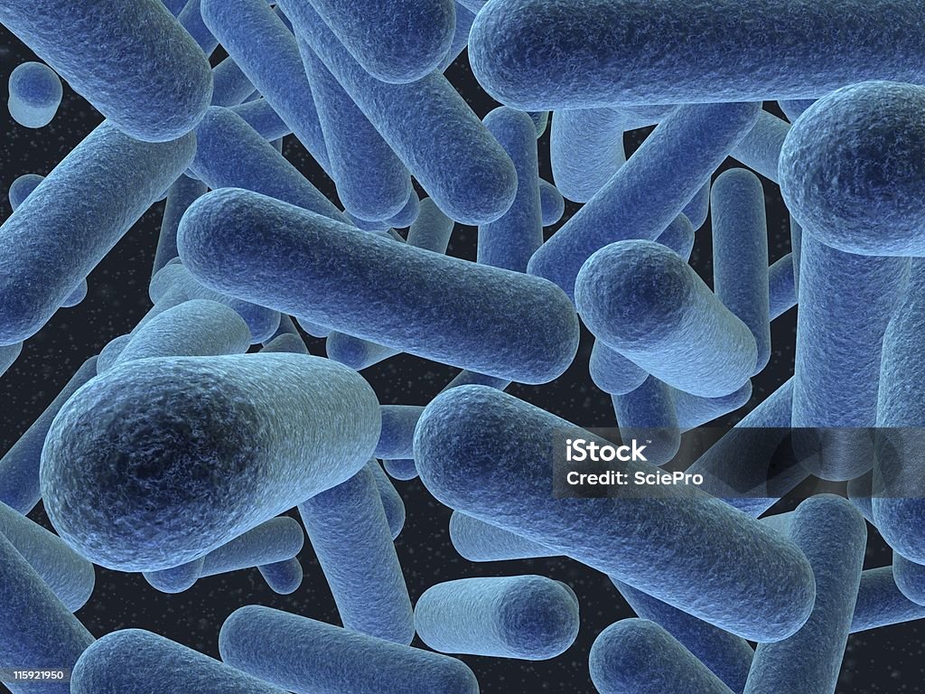 Bacterias - Foto de stock de Arteria humana libre de derechos