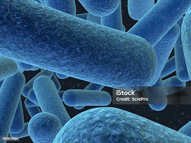 Bakterien Stockfoto und mehr Bilder von Bakterie - Bakterie, Biologie, Blut