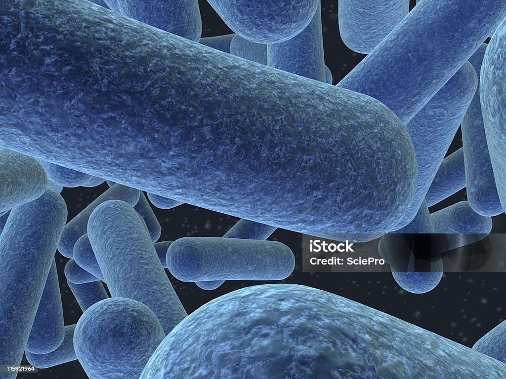Bakterie - Zbiór zdjęć royalty-free (Bakteria)
