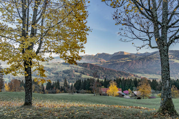 istock fall in the Allgau mountains, Bavaria 1159219644