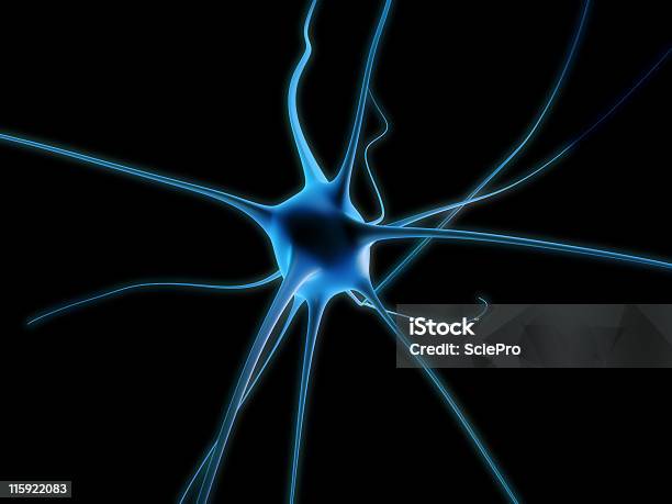 Komórka Nerwowych - zdjęcia stockowe i więcej obrazów Anatomia człowieka - Anatomia człowieka, Biologia - Nauka, Ciało ludzkie