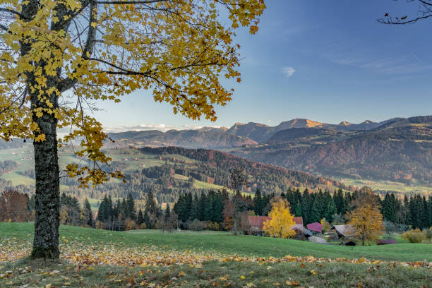 istock fall in the Allgau mountains, Bavaria 1159220874