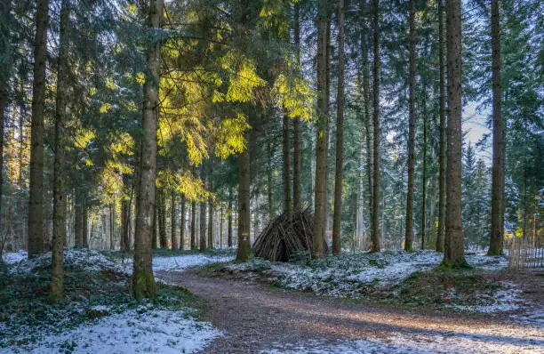 first snow in the black forest near Freudenstadt, Germany