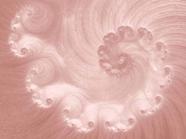 redemoinho rosa espiral de ouro nautilus seashell abstrato fractal arte brilhante millennial rosa pálido ombre padrão de onda - sea snail - fotografias e filmes do acervo