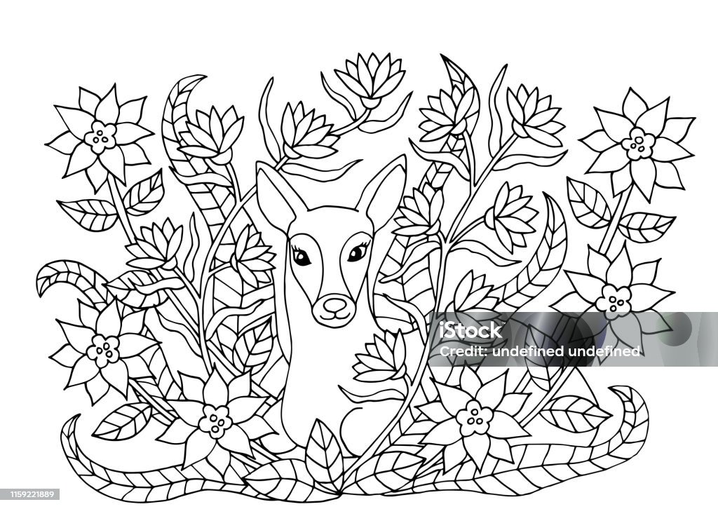Coloring Page With Flowers And Fawn Stock Illustration - Download Image Now  - Coloring, Deer, Abstract - iStock