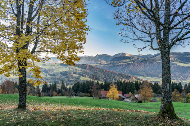 istock fall in the Allgau mountains, Bavaria 1159222063