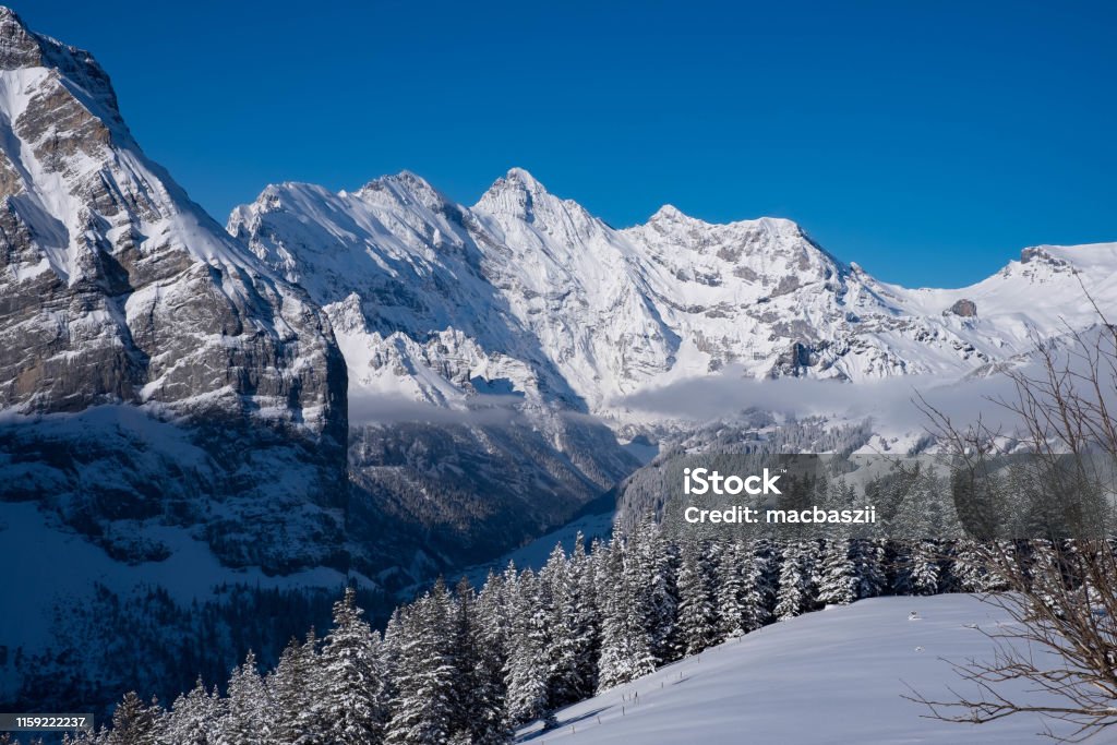 Phong Cảnh Núi Tuyết Của Dãy Núi Alps Thụy Sĩ Với Rừng Thông Ngọn Núi Khổng  Lồ Của Thụy Sĩ Khung Cảnh Tuyệt Đẹp Của Cảnh Quan Núi Rừng Phong Cảnh Núi