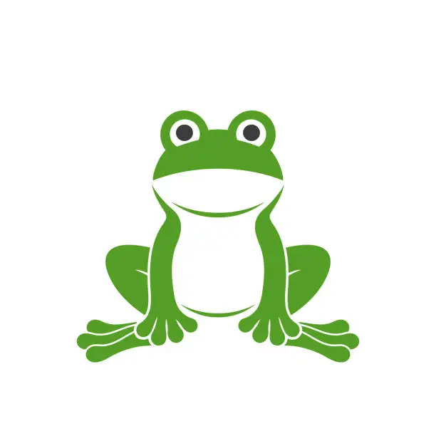 Vector illustration of Green frog. Abstract frog on white background