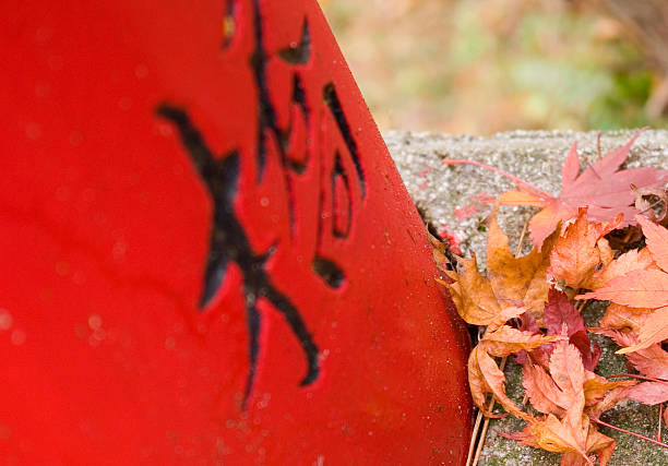 Japanese Autumn stock photo