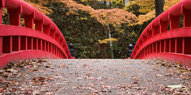 Autumn Bridge stock photo