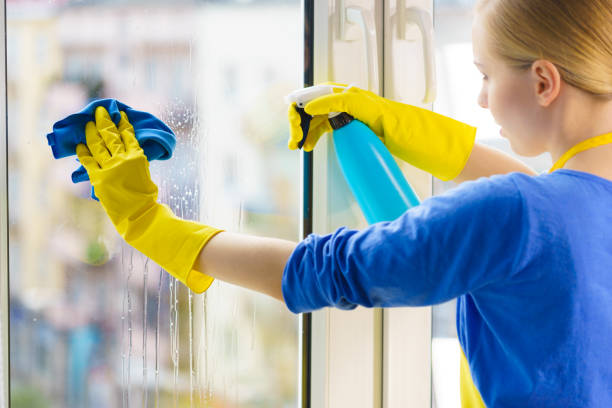 istock Woman cleaning window at home 1159228105